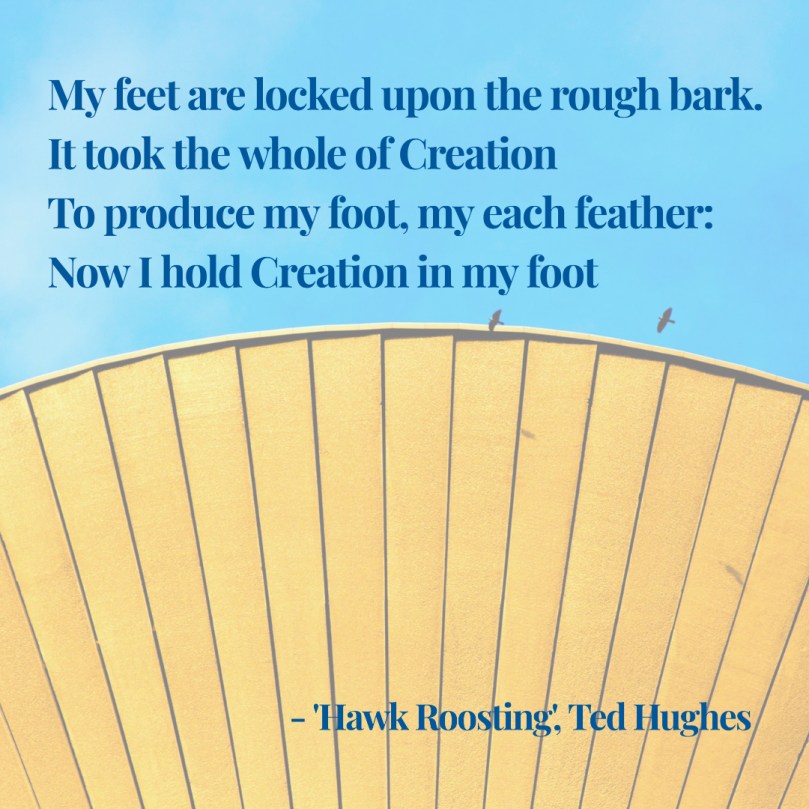Ted Hughes Hawk Roosting quote 