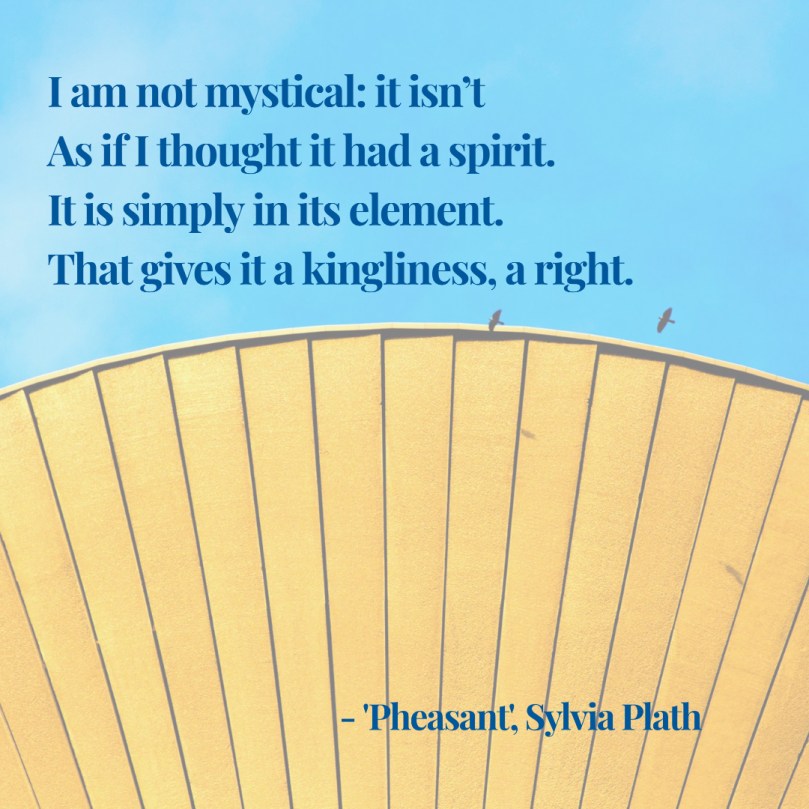 Sylvia Plath Pheasant quote