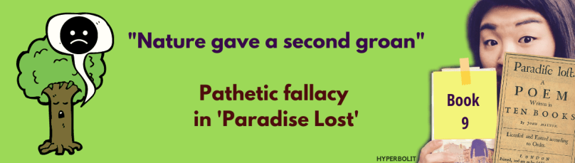 pathetic fallacy_PL cover