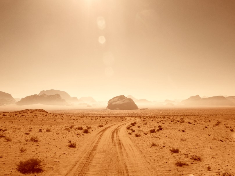 desert survival unsplash