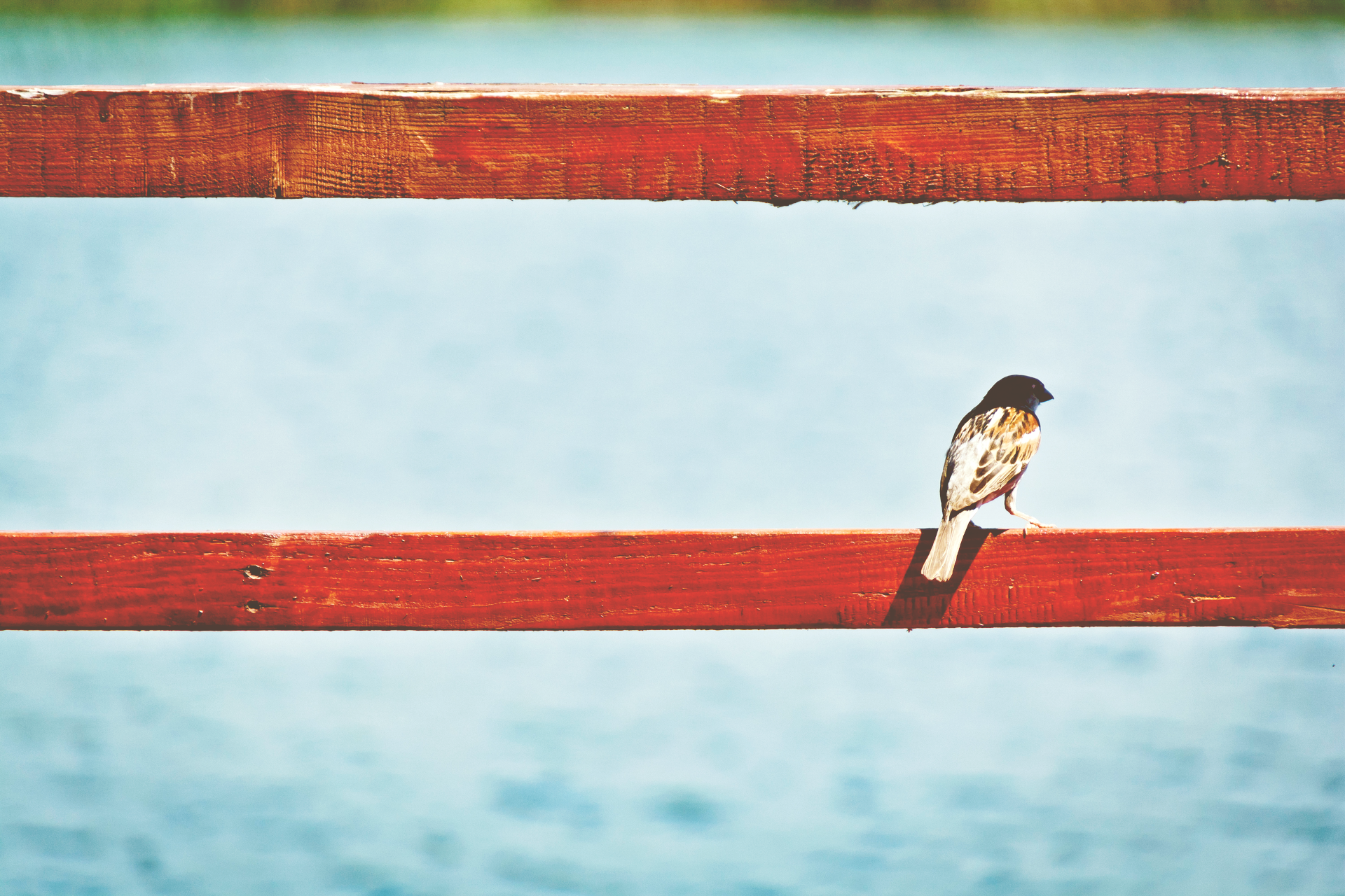 dan-3bfjmdgU3FU-unsplash