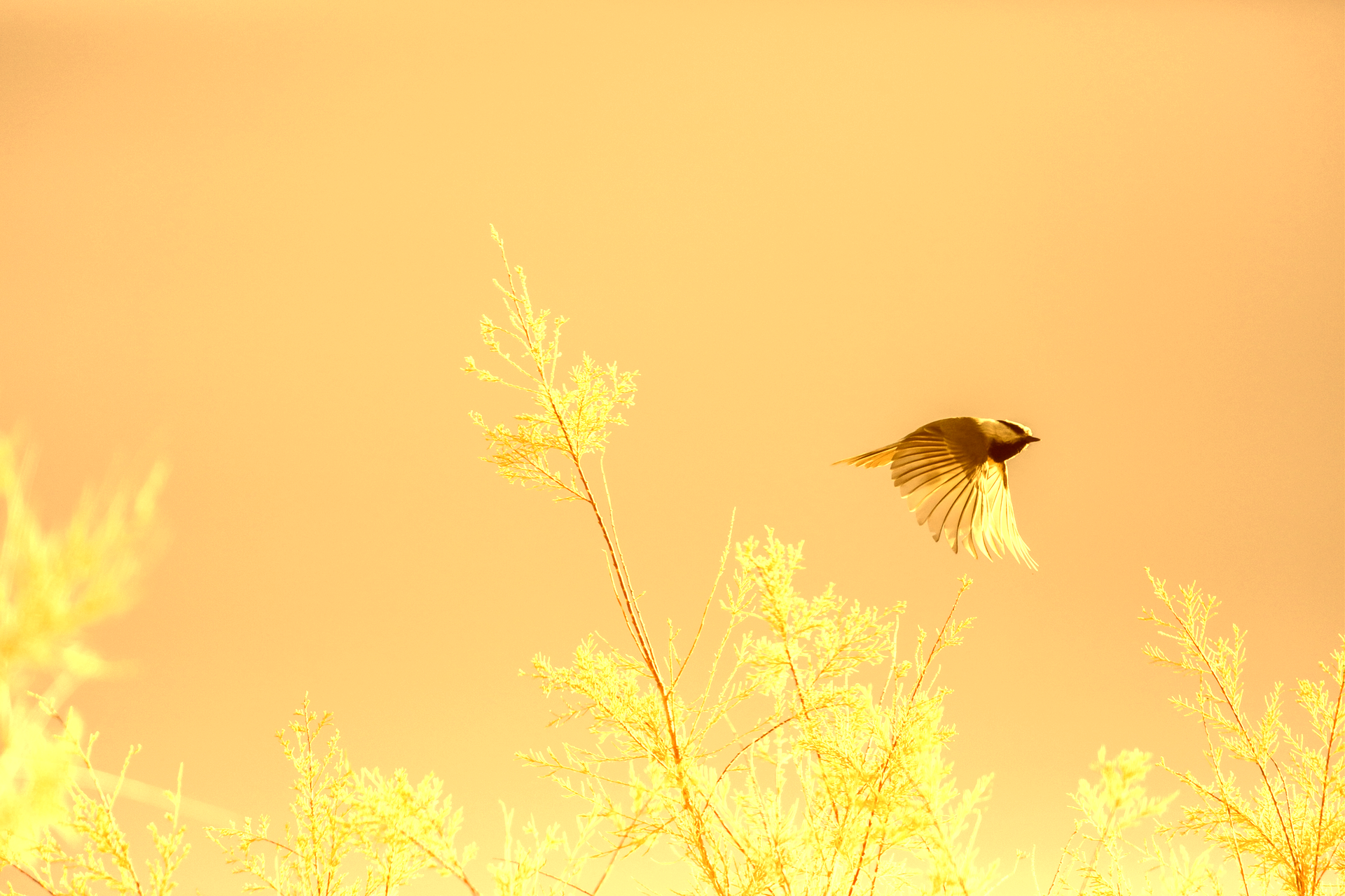 patrick-hendry-o4fi007rmTs-unsplash