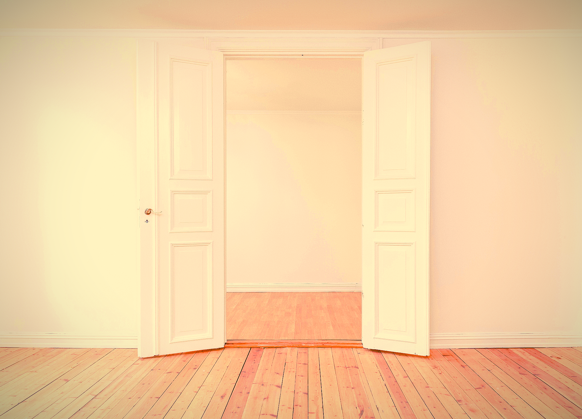 philipp-berndt-5i0GnoTTjSE-unsplash