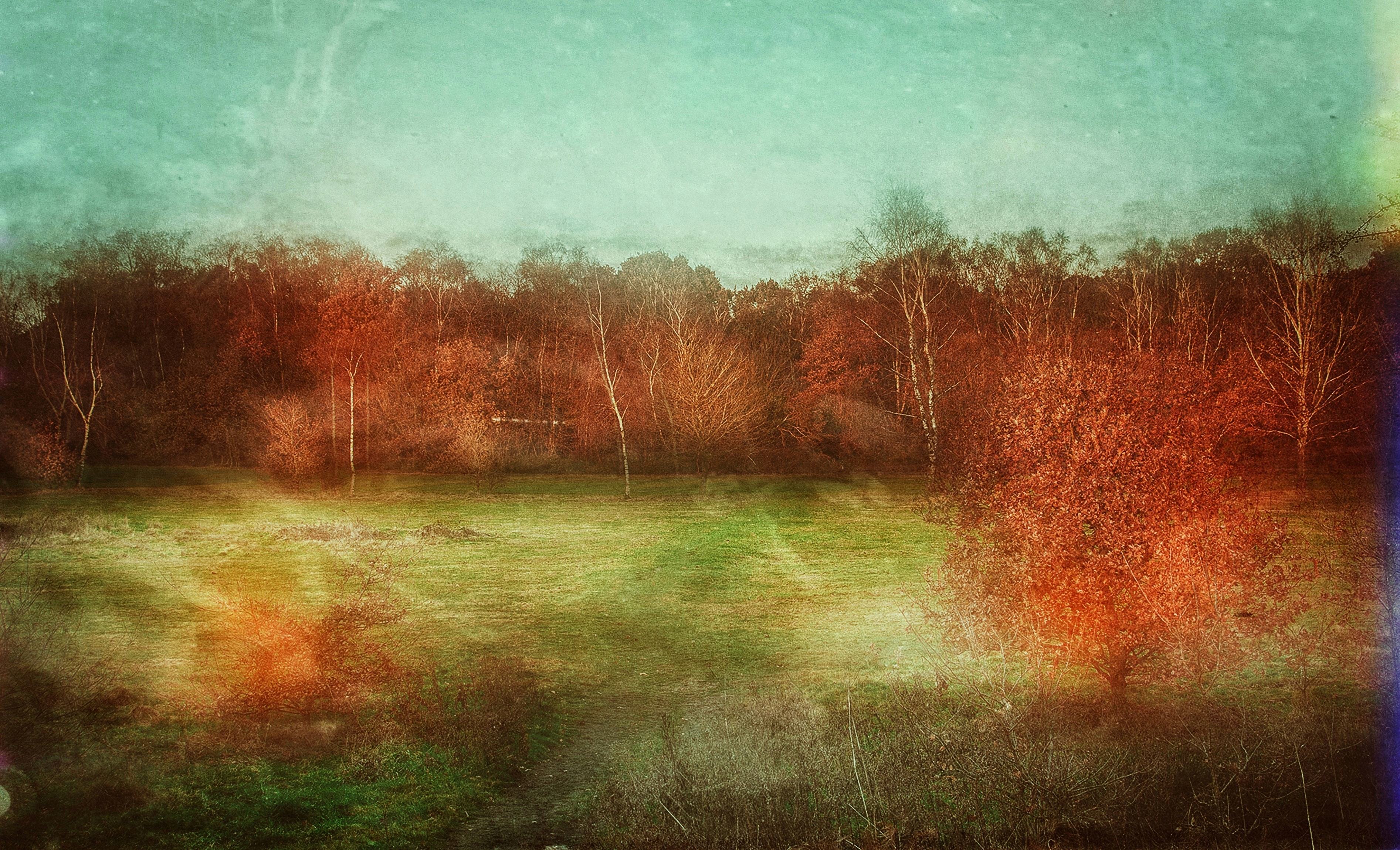 viktor-forgacs-DTTIfcAyzAE-unsplash