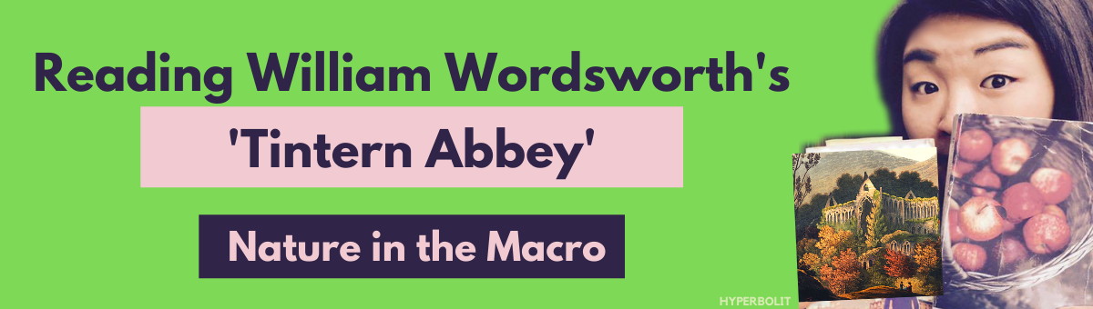 William Wordsworth tintern abbey